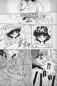 [Shineitai (Kounose Akara)] Suichou Koukei 2 (Magic Knight Rayearth)
