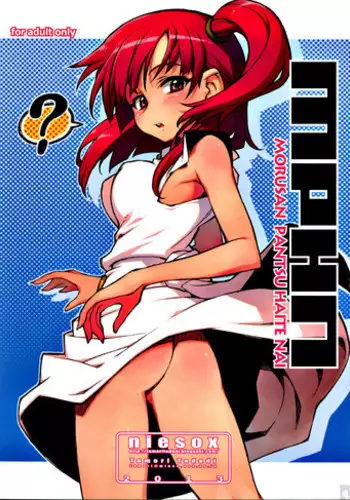 (C84) [niesox] MPHN - Morusan Pantsu Haite Nai (Magi)