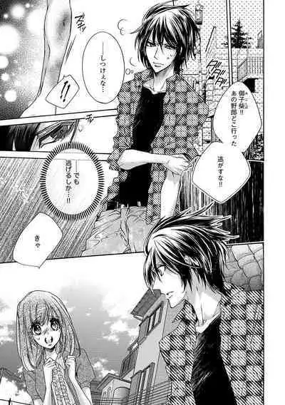 鬼畜兄弟の悶絶調教～私はいいなり奴隷～