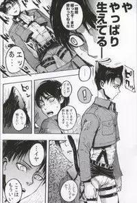 (C86) [Onjire (Tamy)] ONGRE2013 (Shingeki no Kyojin)