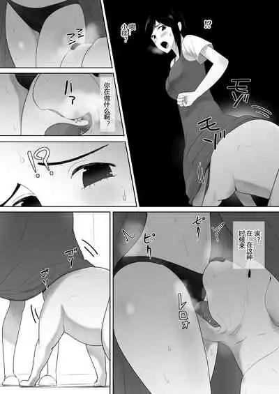 Wagaya ni Inu ga Yattekita 2