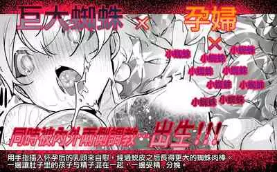 [Haechaimu (smomo)] Kumo x Ninpu [Chinese] [无毒汉化组]