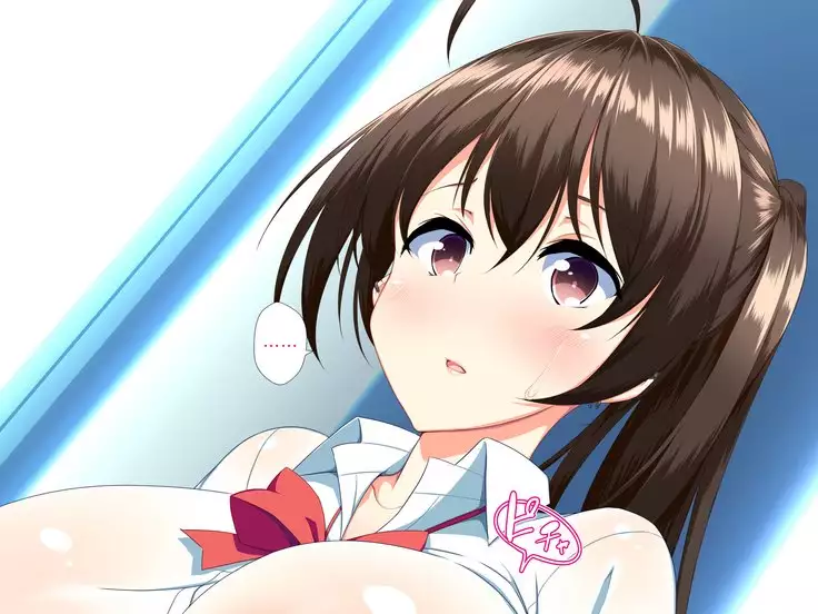 Inran Virus ~Seikoui wa Iryoukoui~ <팀 혼파망>