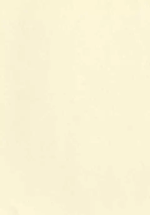 Motto yo, Shikikan-sama.