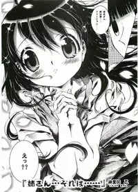 (C67) [VOISIN, DIFFERENT (Various)] OUTLET 20 (School Rumble)
