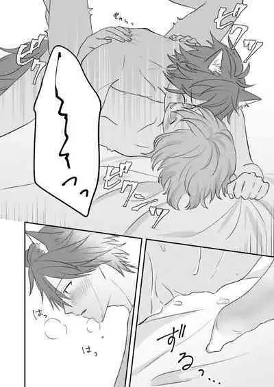 Okitsune-sama o Hiroimashita