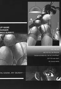 [Ayasaka Mitsune] Tottemo DANGER Bunny-chan!! SIDE-A