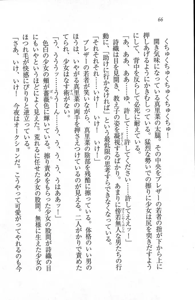 解放区~痴漢ハーレム