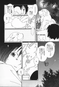 [Nyan] from Happiness