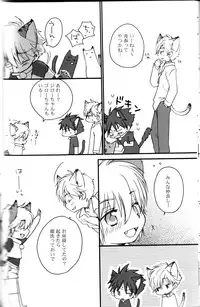 Peach Drop- Arco Iris