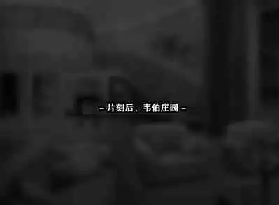 Yor story（有条色狼汉化）