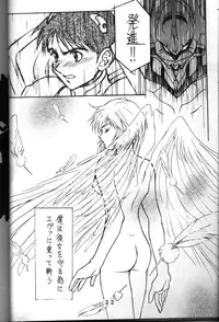 (C50) [Tokibi Gumi (Various)] T.C. Libra (Neon Genesis Evangelion, Tonde Buurin)