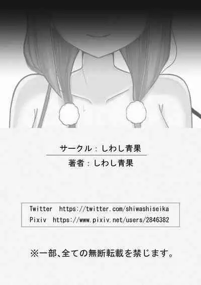 完璧な私 失うまでの記録