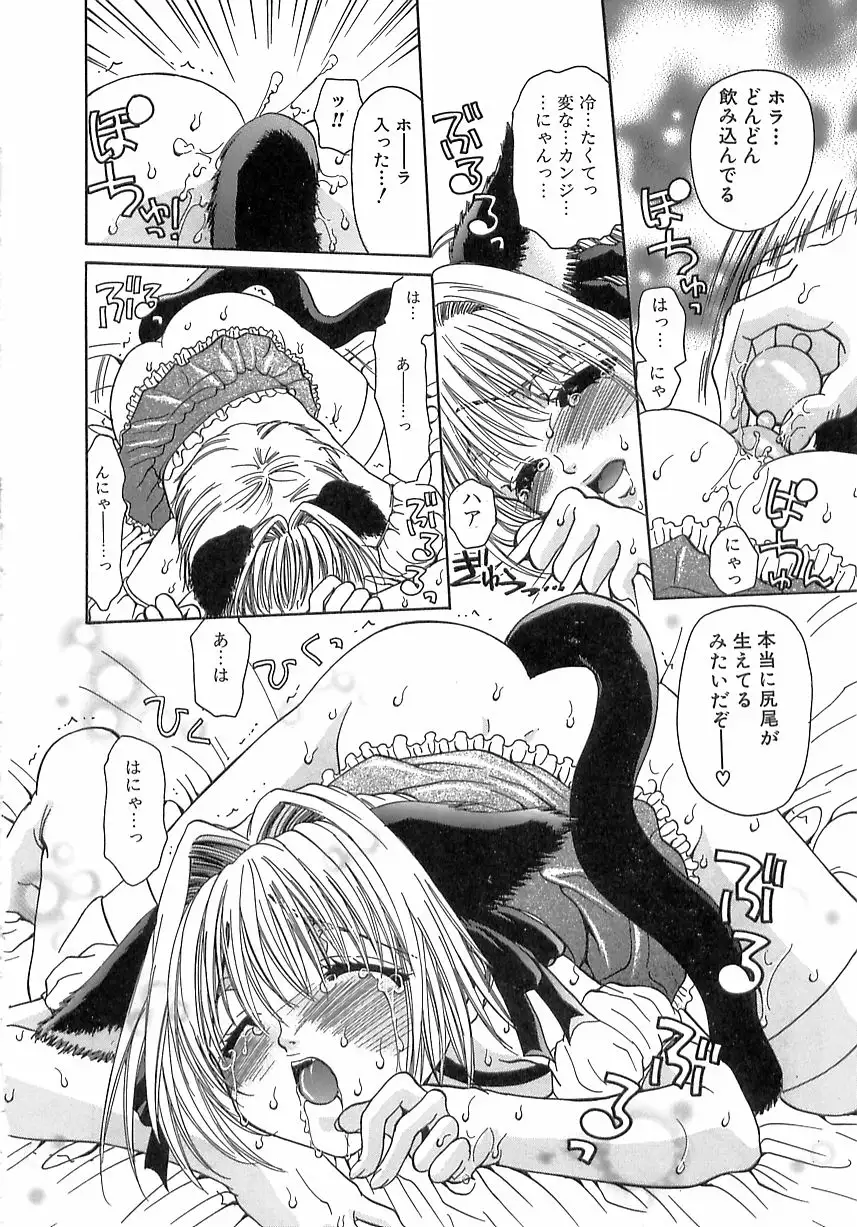 Kinkan Imouto Moe