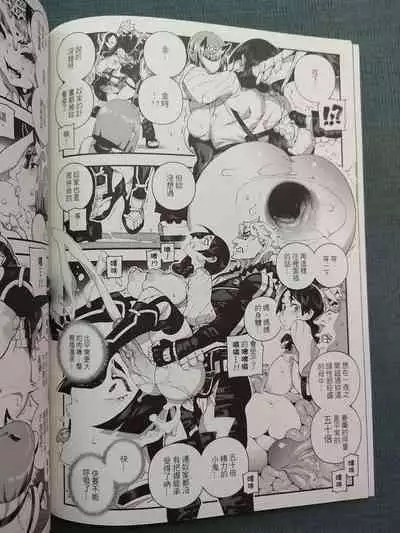 CHALDEA MANIA - Minamoto no Raikou | 迦勒底狂熱．源賴光