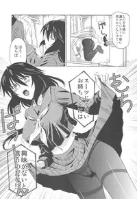 (C81) [CAZA MAYOR (Tsutsumi Akari)] is Incest Strategy 2 (Infinite Stratos)