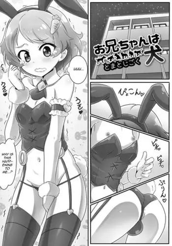 [Tomatojigoku] Onii-chan wa Inu | Onii-chan's a Dog (Gekkan Web Otoko no Ko-llection! S Vol. 09) [English] [mysterymeat3] [Digital]