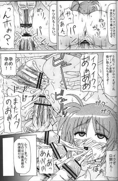 [REDBELL (Akazawa Fuyuki)] BAD END. vol.1 (Mahou Shoujo Lyrical Nanoha)