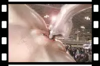 [NEO’GENTLE] Virginal Relna 1