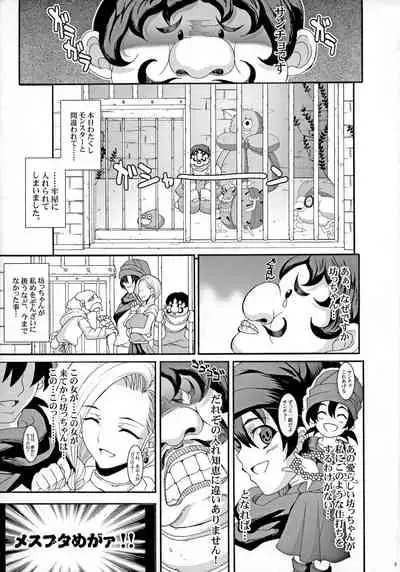 The Sancho Soushuuhen