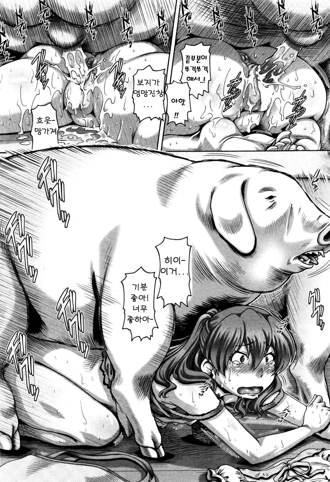 Jyuai Kantsu | 수애간통