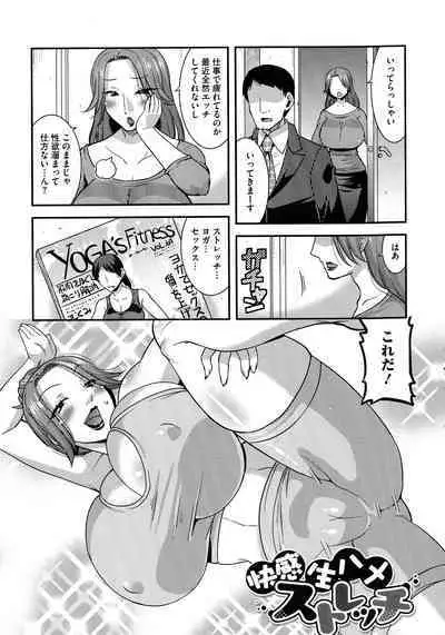 Hitozuma wa Dare to Demo Yaritai