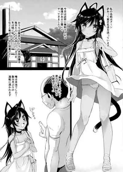 Neko Neko Note 3