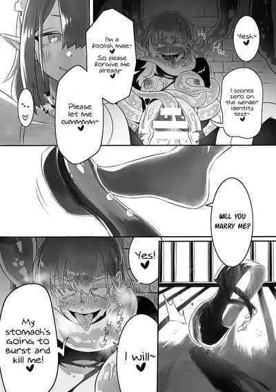 Kyuuketsuhime no Himekishi Kansatsu