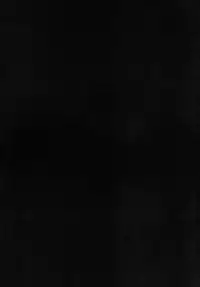 (CT17) [Sakekan (Salmon)] VALKYRUA JAVELIN 1 (Valkyria Chronicles 2)