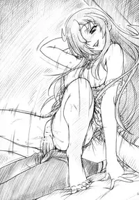 (C71) [MEKONGDELTA & DELTAFORCE (Route39, Zenki)] VOID (Zero no Tsukaima)