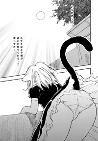 (C68) [RACK&PINION (Iogi Juichi)] Nyan Kororin