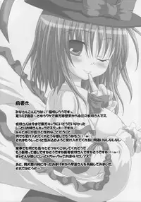 (C74) [Schwester (Shirau Inasaki) Rollin 29 (Touhou Project)