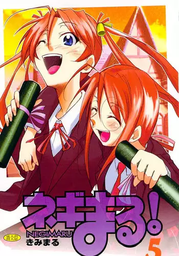 (C72) [Studio Kimigabuchi (Kimimaru)] Negimaru! 5 (Mahou Sensei Negima!) [English]