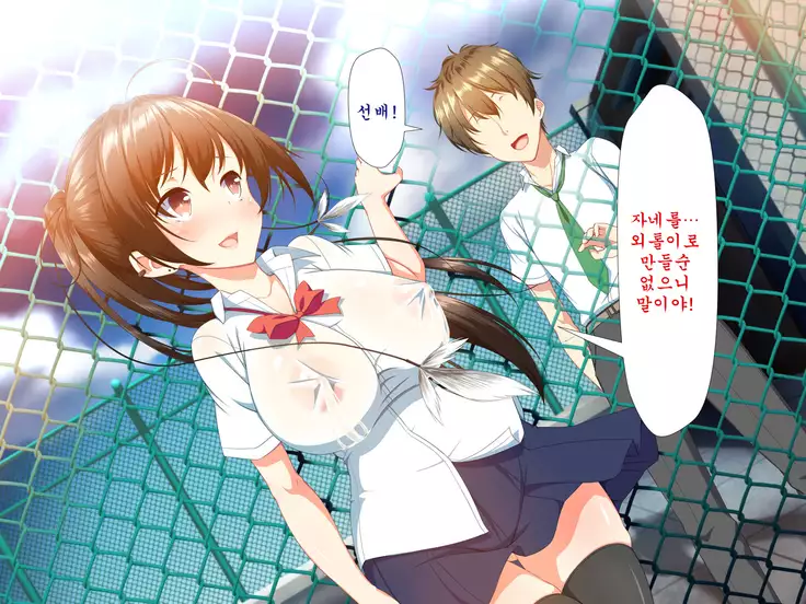 Inran Virus ~Seikoui wa Iryoukoui~ <팀 혼파망>