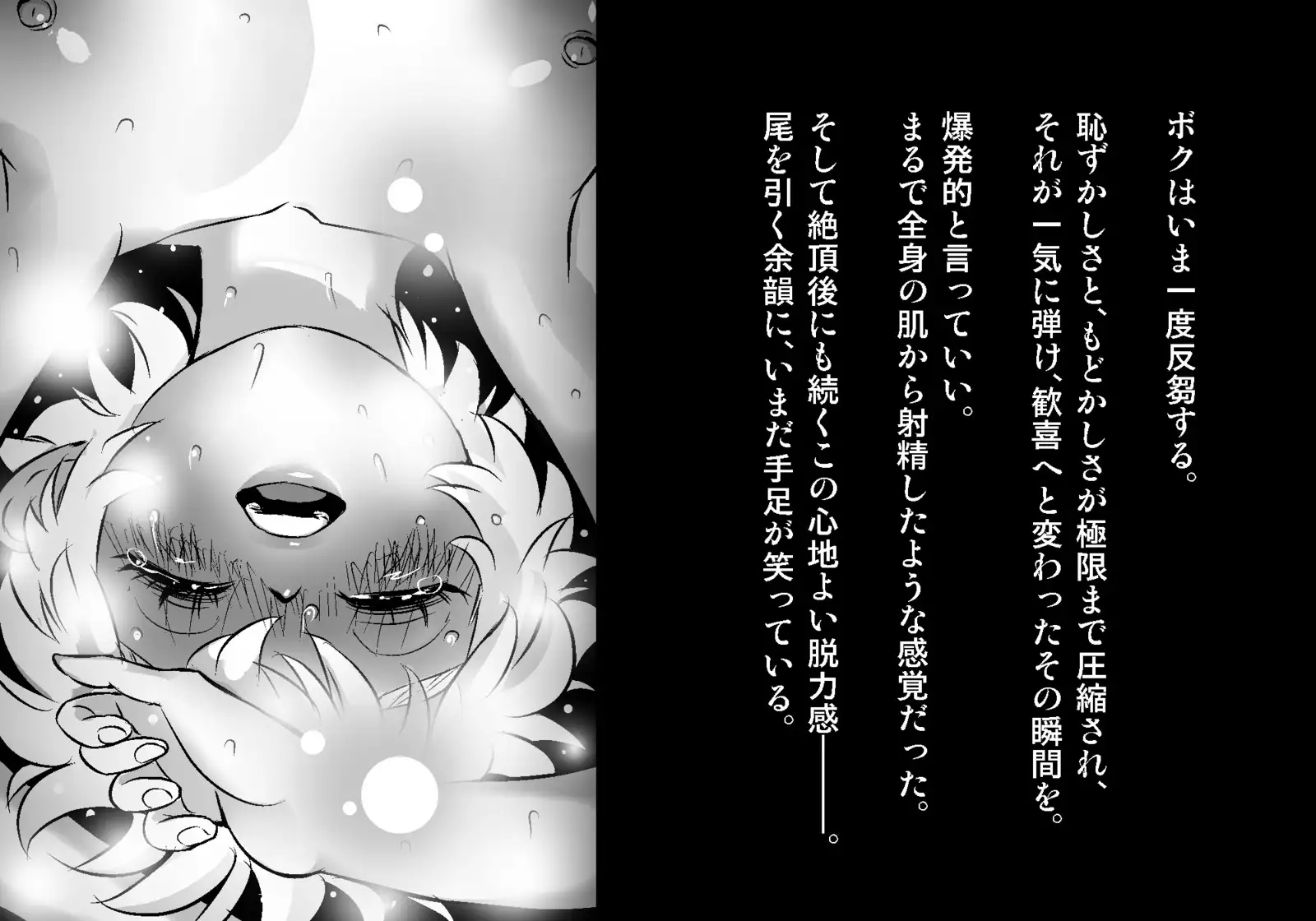 フェアリーセティ