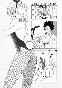 (C90) [S-FLAKE (Yukimitsu)] DRAGON NIGHT2 (Dragon Ball Z)