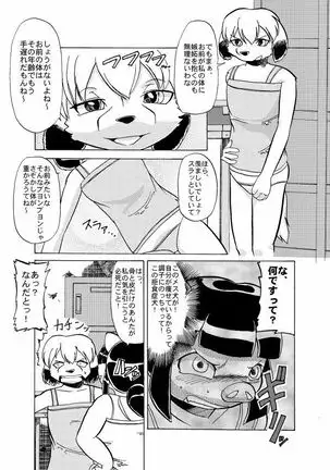 蹴落とし貶めあう女達