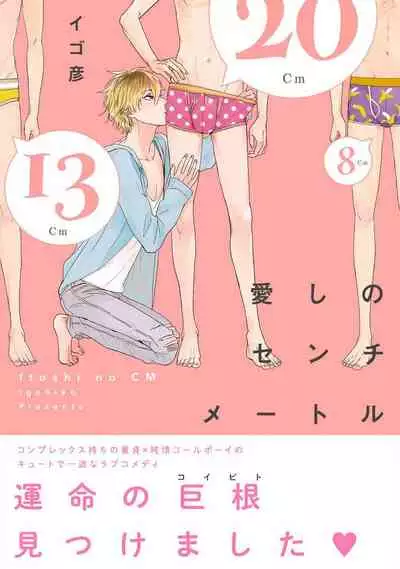 [Igohiko] Itoshi no Centimeter | 爱情的长度 Ch. 1-2 [Chinese] [拾荒者汉化组] [Digital]