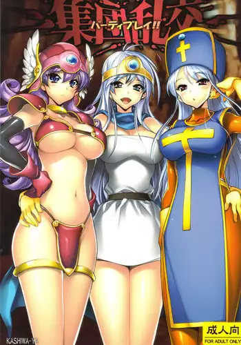(C81) [Kashiwa-ya (Hiyo Hiyo)] Shuudan Rankou Party Play (Dragon Quest III)