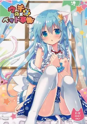 白金すみれのとある一日
