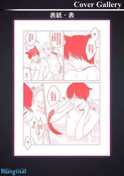 恋爱中的猫咪想被抚摸