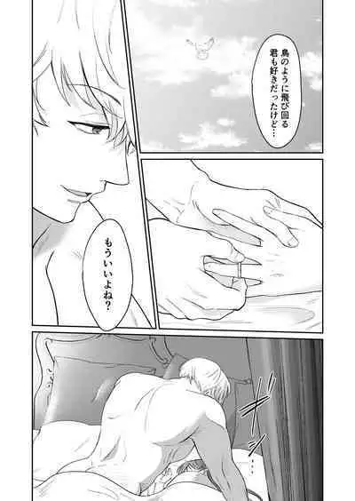 Saikyō on'na kishi wa shūchaku-kei otōto Ōji kara nige rarenai!|The strongest female knight can't escape from the obsessive younger brother prince!