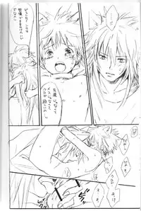 Peach Drop- Arco Iris