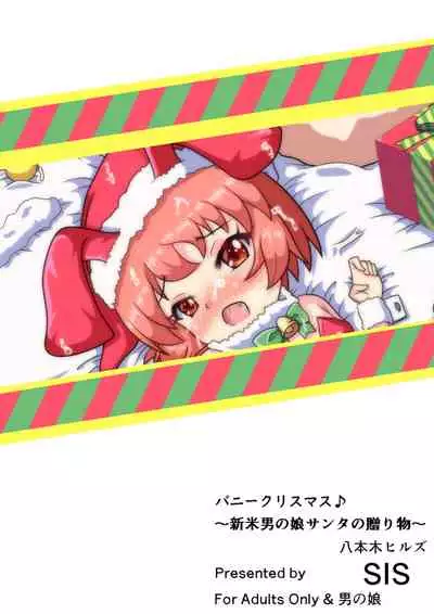 バニークリスマス♪ ~新米男の娘サンタの贈り物~