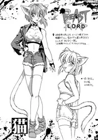 (C53) [.30-06 (Tsutsumi Akari)] CAZA MAYOR