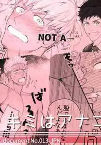 [えるう] ヒノエ