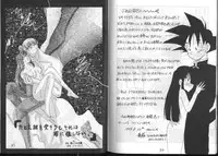 Dragonball for adult