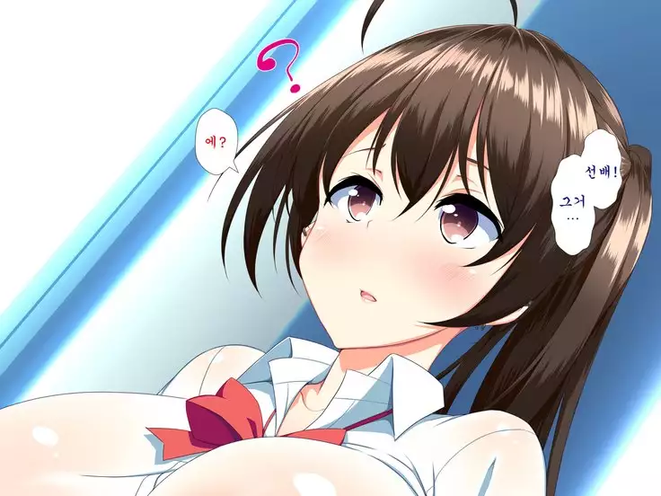 Inran Virus ~Seikoui wa Iryoukoui~ <팀 혼파망>