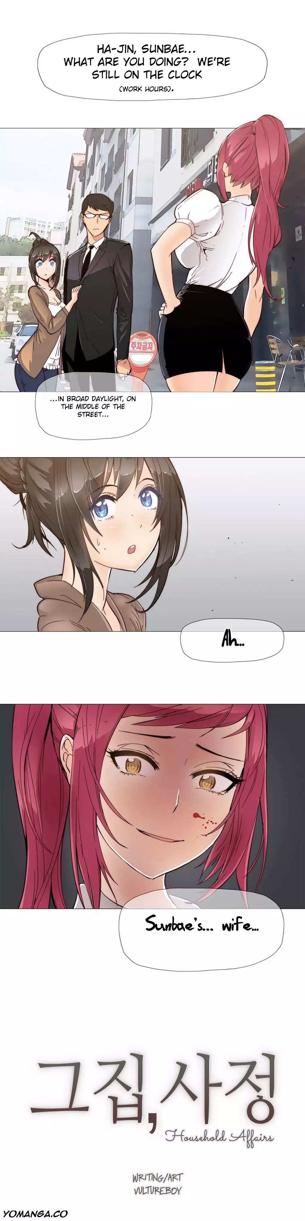 Household Affairs by VultureBoy & Boy Beochyeo