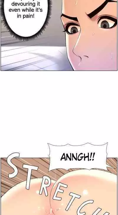 APP for the Emperor of the Night 1-30